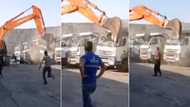 Hebana: Man destroys fleet of trucks in a video after he was fired, SA has questions