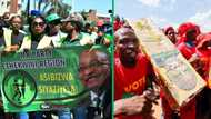 MK Party could get more votes than Economic Freedom Fighters, survey finds