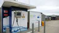 Net zero, Russia war driving nascent hydrogen economy