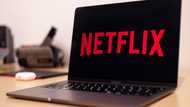 Netflix South Africa Announces New Slate Featuring Love Is Blind and Blood Legacy Season 2