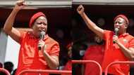 Malema tells South Africa, "You are not the children of cowards"