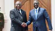 SA and Kenya agree on mutual 90-day visa-free travel, SA reacts: "United States of Africa, love this"
