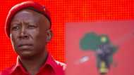 EFF: Julius Malema drags the ANC for closing borders to travel