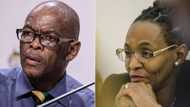 ANC 'feels vindicated' following dismissal of Ace Magashule's appeal application, reactions