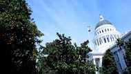 California looks to Europe to rein in AI