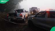 Mpumalanga crash leaves eight people dead after bus and taxi collide outside Standerton