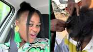 Woman's hair shaved as part of makoti duty, Mzansi puzzled by pressure on daughter-in-law