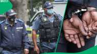 Hawks nab 13 officers in Gauteng over corruption and extortion allegations