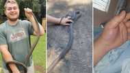 Brave snake catcher, 21, gets bitten by black mamba after rescuing it from a ceiling: “Wild and unpredictable”