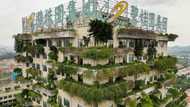 China's Country Garden says might not meet all debt obligations