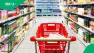 Cats spotted among pantry staple products in major supermarket spark concern