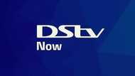 These new DStv free channels have you covered during the lockdown