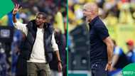 Rulani Mokwena rates Cardoso's performance at Sundowns ahead FIFA Club World Cup