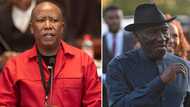 Malema says Police Minister Bheki Cele called Marshall Dlamini to inform him about IFP assassination plot