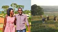 Man shares how in laws gave back lobola so he and wifey can start life