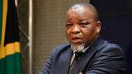 Gwede Mantashe says the state capture report attacks transformation by questioning deployment of officials