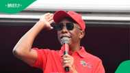 EFF claims Cyril Ramaphosa and Donald Trump's meeting was used to attack Julius Malema, SA amused