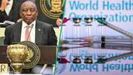 WHO raises concern over Ebola as Ramaphosa urges African nations to act