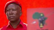 "The EFF is there to catch your tears": Juilus Malema leads Women's Day event in Mataiele