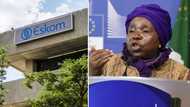 Cogta Minister Nkosazana Dlamini-Zuma slams Eskom for energy crisis, Mzansi calls for "practical solutions"