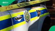 Limpopo manhunt launched after dog unearths human remains