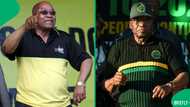 Jacob Zuma launches application to appeal ANC expulsion once again, SA split by Msholozi's decision