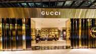 List of Gucci stores in South Africa 2022: locations, product listings, more