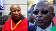 Julius Malema case against Kenny Kunene struck off the roll due to clerical error
