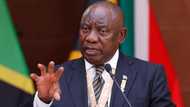 Cyril Ramaphosa receives a backlash over latest newsletter: "You’re lying, Mr President"