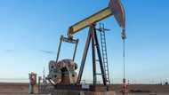 Peak in oil demand 'in sight' before end of decade: IEA