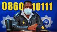 Police commissioner Fannie Masemola distances himself from Phala Phala saga, EFF wants him fired and replaced