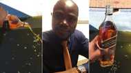 Video of Johnnie Walker being emptied into pool has Mzansi in tears