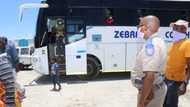 Bus travelling over capacity from Cape Town to Zimbabwe impounded in Limpopo, 101 passengers on board