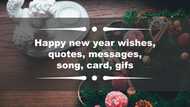 Beautiful Happy New Year wishes, quotes, messages, song, card, gifs