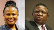 Busisiwe Mkhwebane: Fikile Mbalula says Public Protector is a 'hired gun'