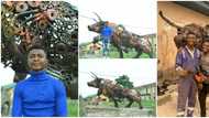 Man shows great artistic skills, makes brazen bull from metal wastes