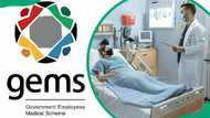 GEMS medical aid scheme: Get a detailed overview for 2024