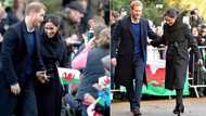 Prince Harry saves Royal Family a staggering R98 million in security bills