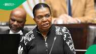 Dina Pule appointed Social Development Minister despite 2013 Parliament scandal