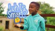 The most interesting Luh and Uncle videos of all time