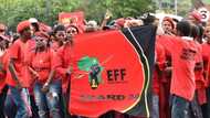 1st mayoral seat for EFF, Free state backs Red Berets in Metsimaholo