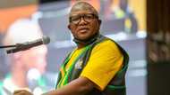 Fikile Mbalula and Transport department slammed for having 1 driver's licence printing machine