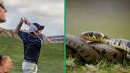 Video of snake prank at golf course goes viral, netizen in stitches: "Never gets old"