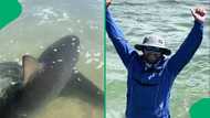 "This is a concern for holiday goers": Big shark spotted in shallow water in Gqeberha, SA's stunned