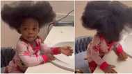 Little girl with a pretty smile shows off thick natural hair in adorable video, peeps gush: “She too cute”