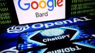 AI bots need consent to use our material, say news groups