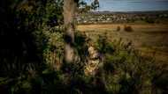 Russian strikes pound Ukraine power sites