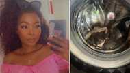 Video of woman cleaning mogodu inside washing machine leaves Mzansi people disgusted