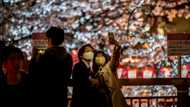 Japan inflation slows to 3.1% in February