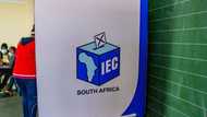 IEC’s decision to reopen candidate registrations results in negative reactions